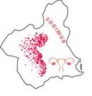 Sociedad Ginecologia y Obstetricia Murcia